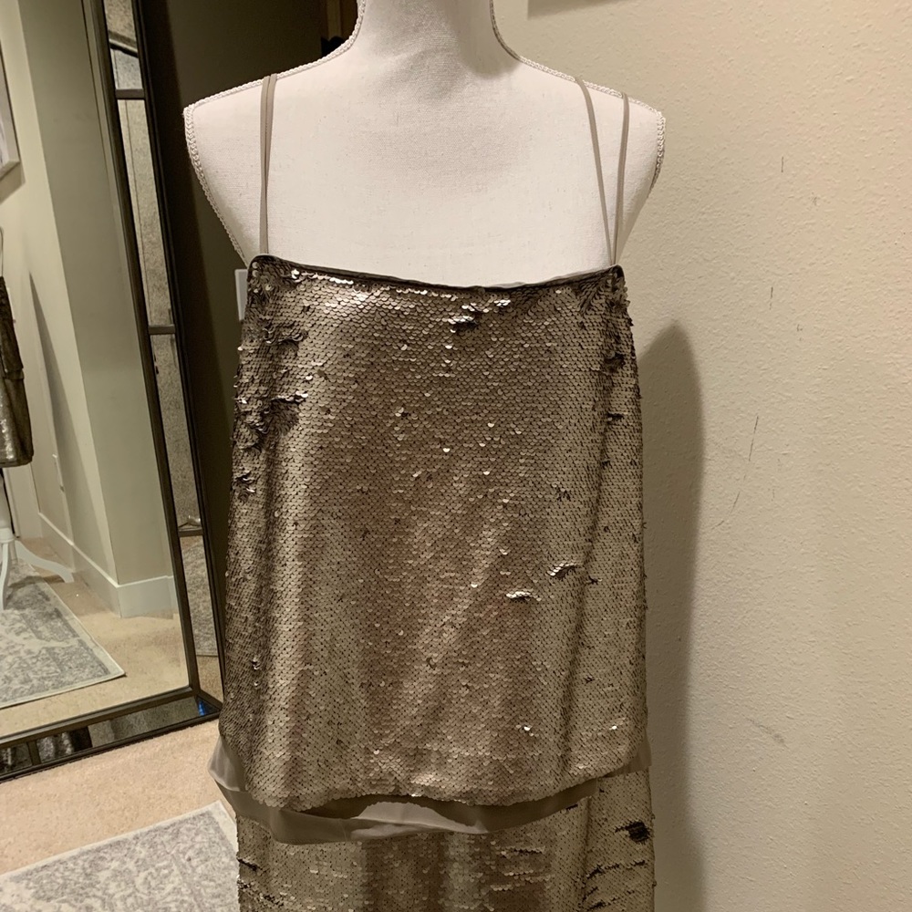 Banana Republic Sequin Dress